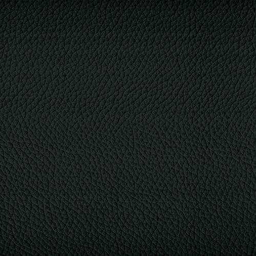SOVET Xenial Stuhl, Esche schwarz