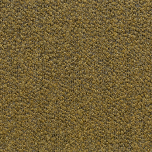 SOVET Xenial Stuhl, Esche schwarz