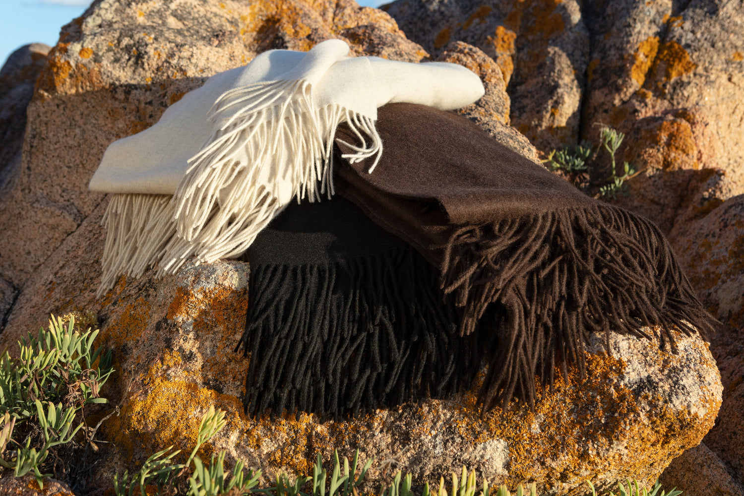 Fischbacher 1819, Nomad Yak, Decke