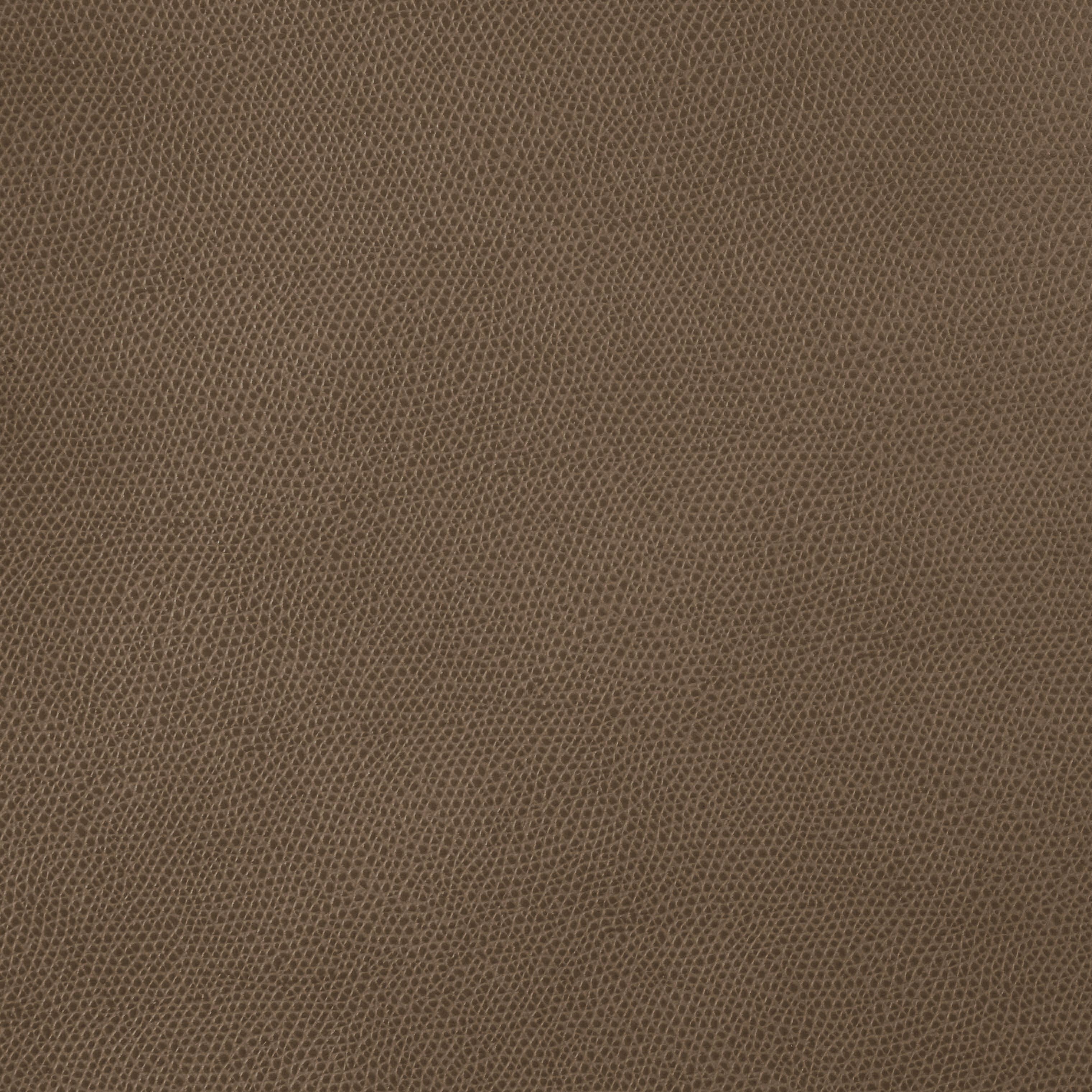 PINETTI Tablett JANE rechteckig