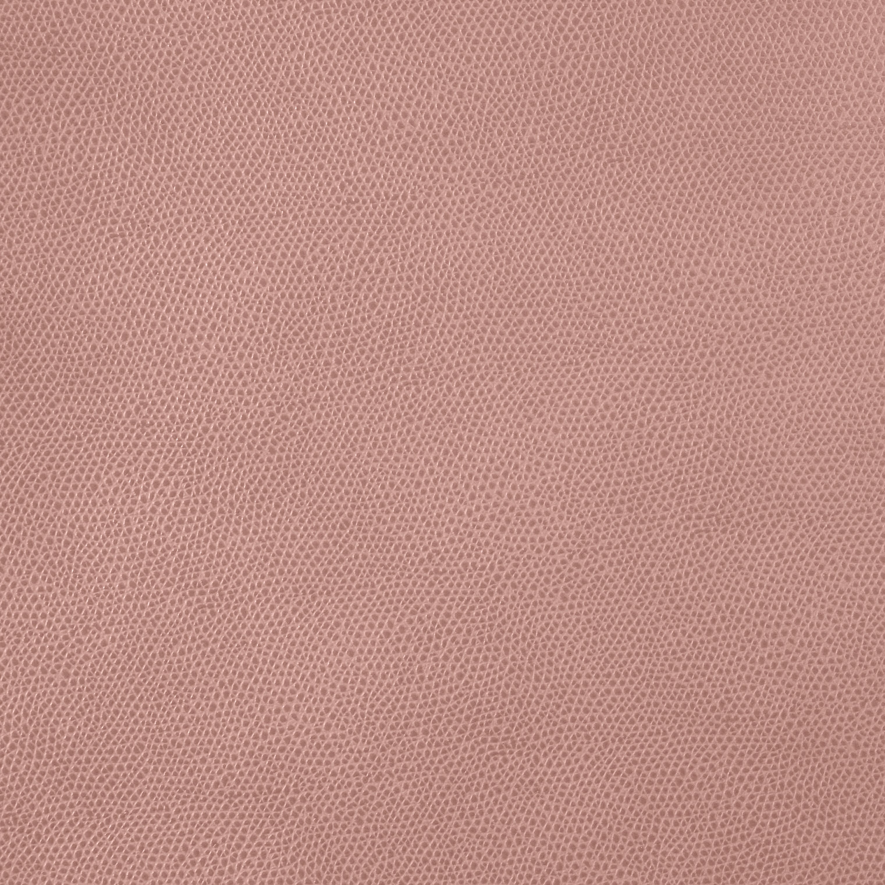 PINETTI Botscha Spiel Set