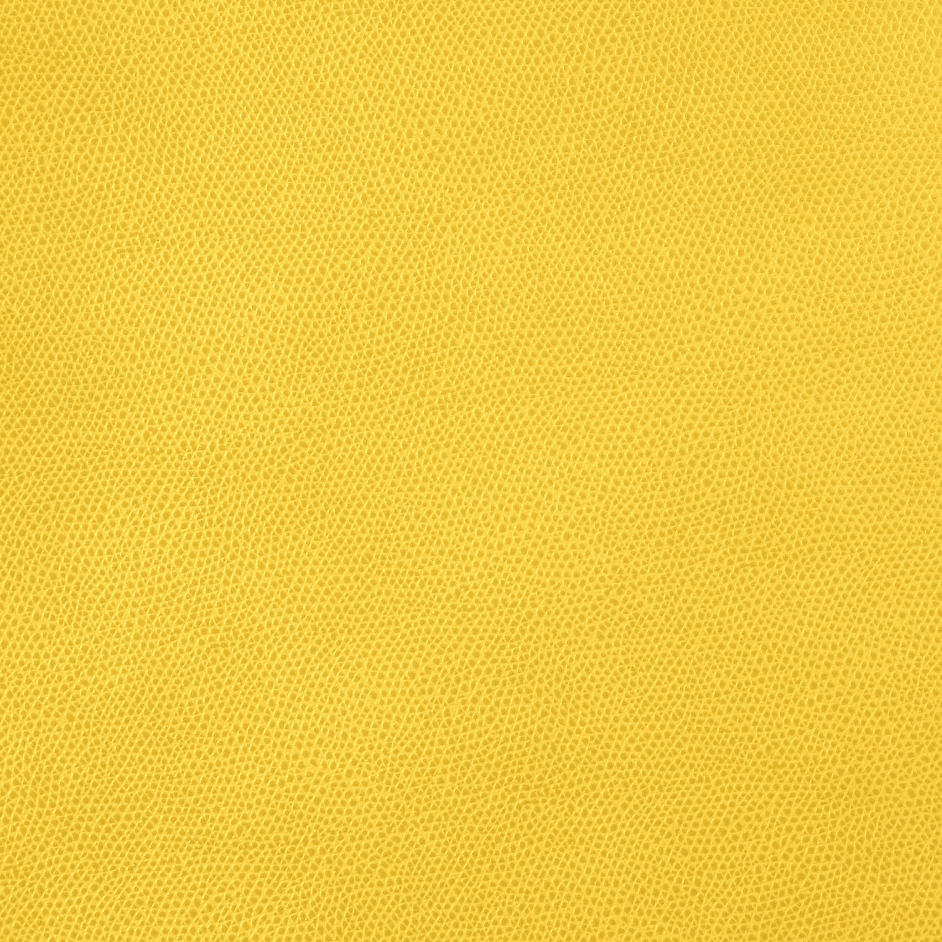 PINETTI Botscha Spiel Set