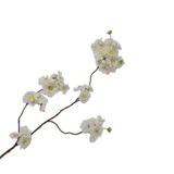 Silk-ka, Kirschblütenzweig creme, 116 cm