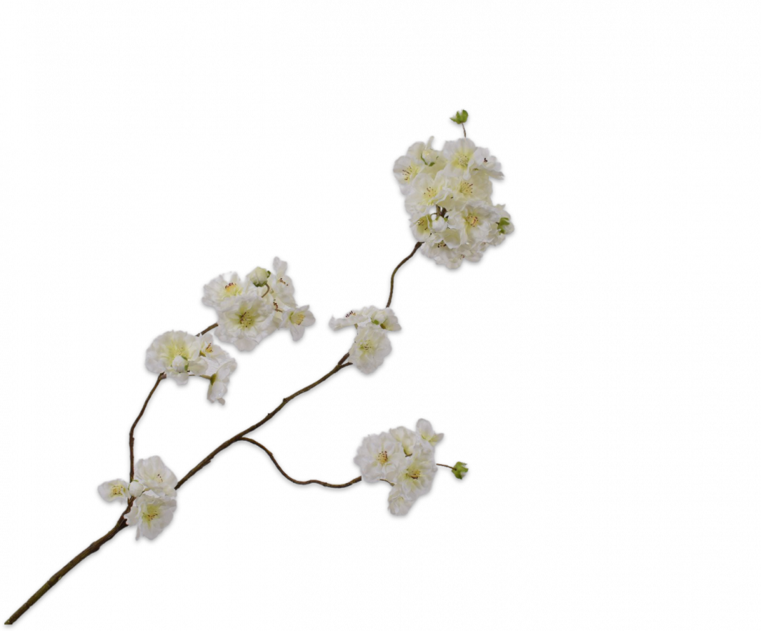 Silk-ka, Kirschblütenzweig creme, 116 cm