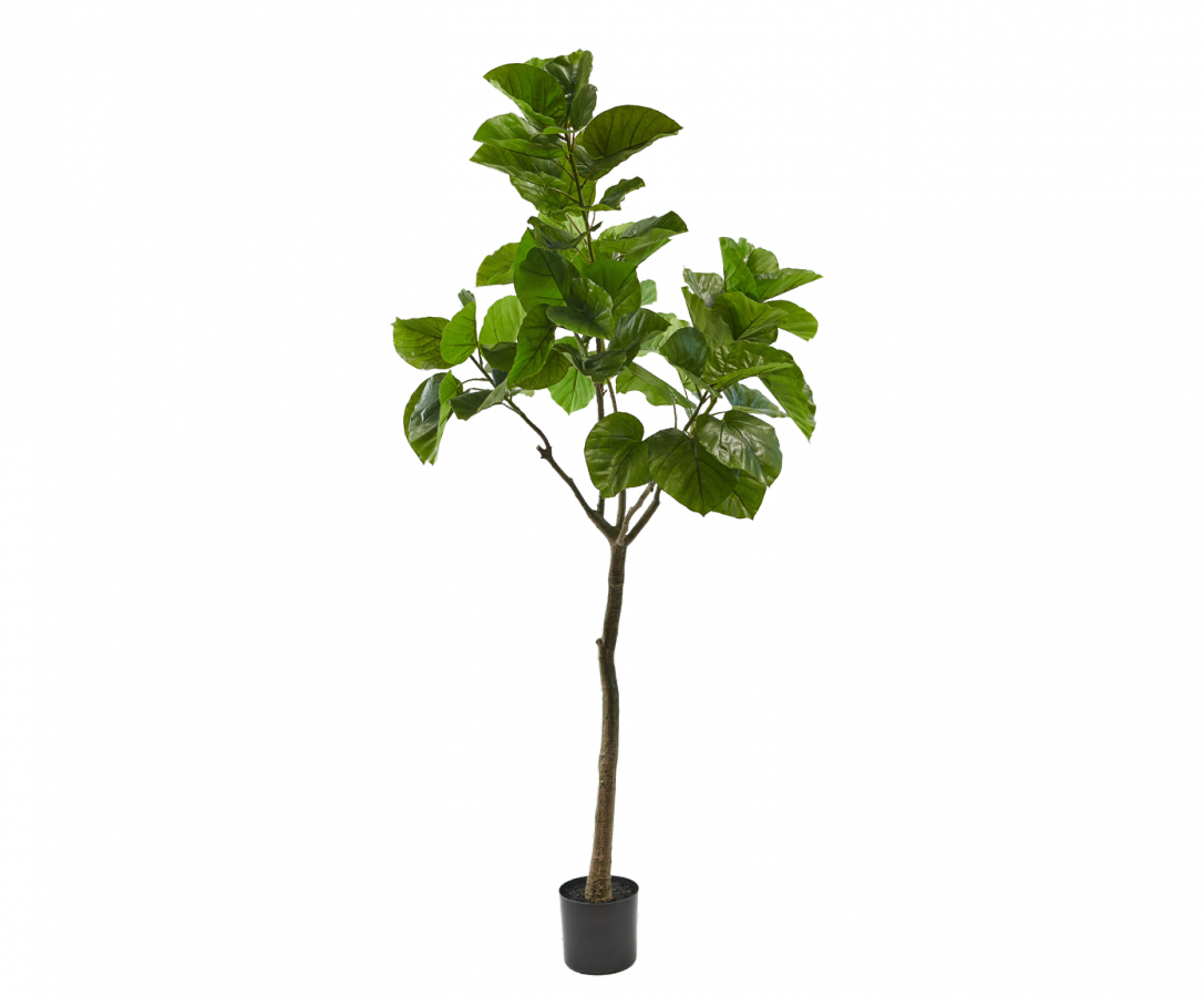 Ficus grün Kunstpflanze