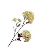 Silk-ka, Schneeball grün