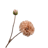 Silk-ka, Dahlienzweig champagner, 60 cm