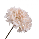 Silk-ka, Hortensie rosé