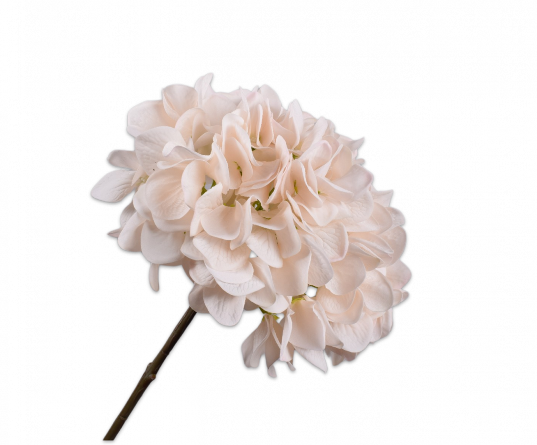 Silk-ka, Hortensie rosé, 50 cm