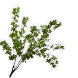 Silk-ka, Blätterzweig grün, 107 cm