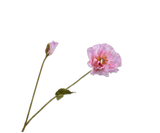 Silk-ka, Mohnzweig rose, 74 cm