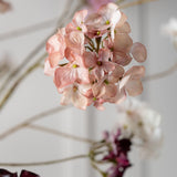 Silk-ka, Hortensie mauve