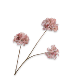 Silk-ka, Hortensie creme