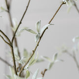 Silk-ka, Zweig weiss/grau