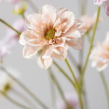 Silk-ka, Dahlie-Zweig apricot