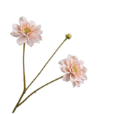 Silk-ka, Dahlie-Zweig apricot