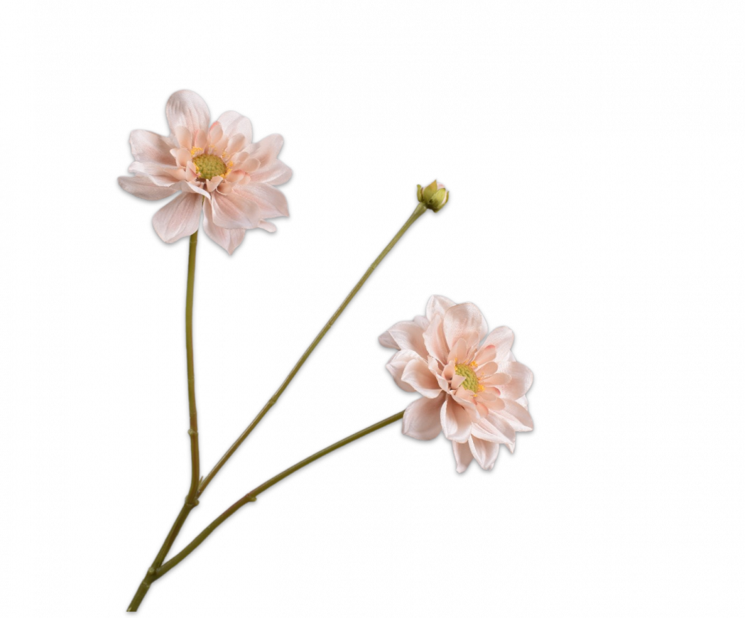 Silk-ka, Dahlie-Zweig apricot, 75 cm