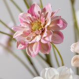 Silk-ka, Dahlie rosa