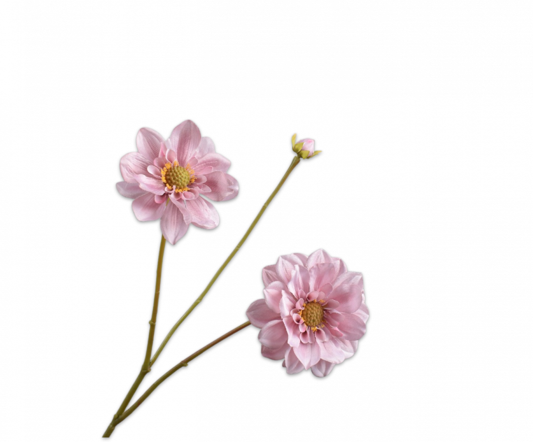 Silk-ka, Dahlie rosa, 75 cm
