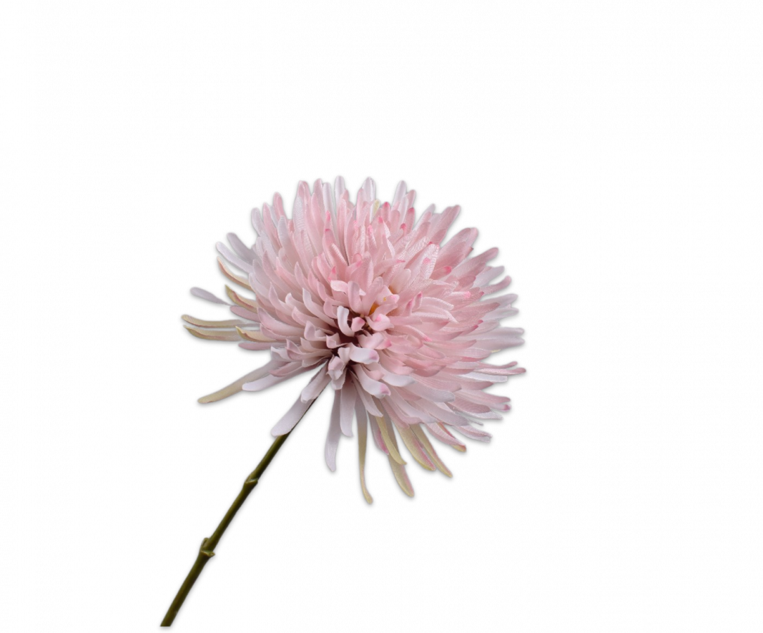 Silk-ka, Chrysantheme-Zweig rosa, 62 cm