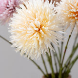 Silk-ka, Chrysantheme creme