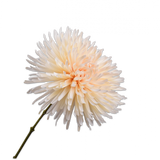 Silk-ka, Chrysantheme creme
