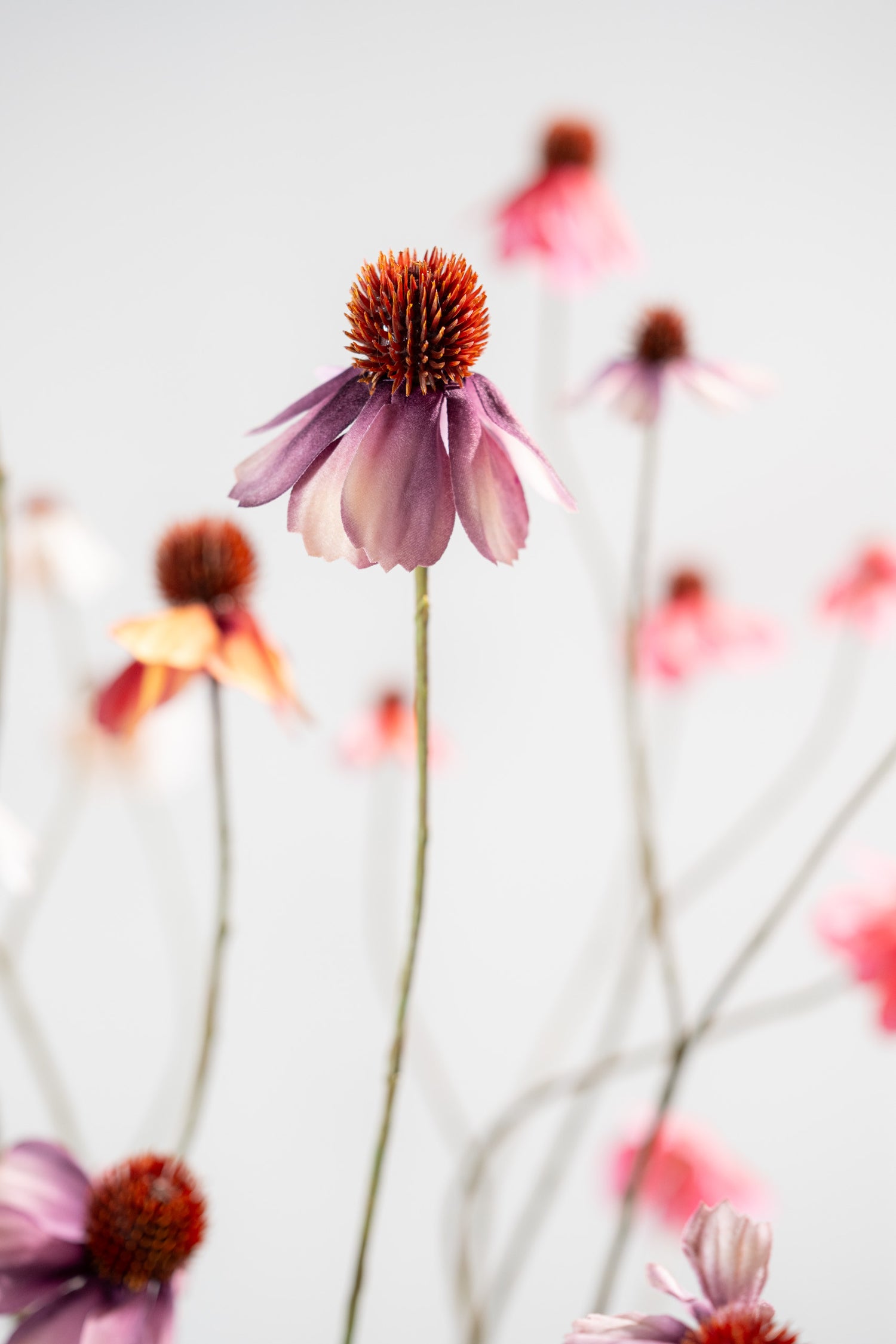 Silk-ka, Rudbeckia Zweig mauve, 95 cm