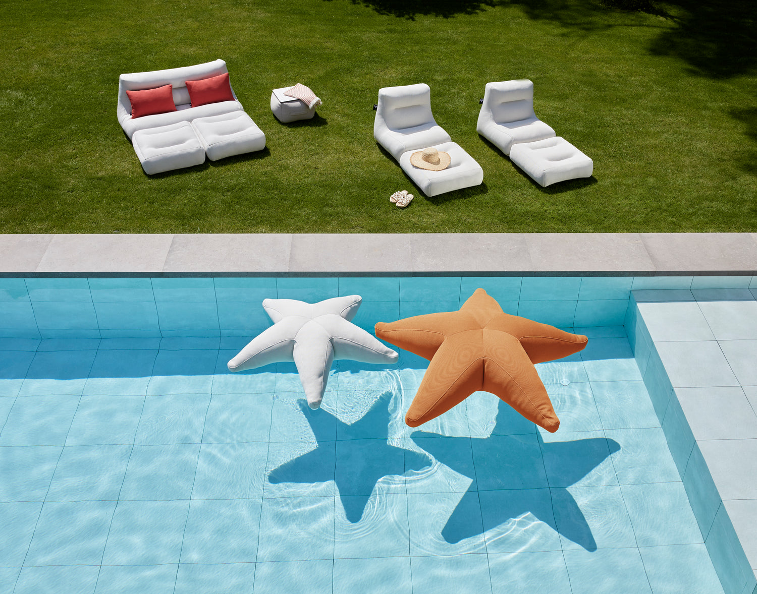 OGO Starfish