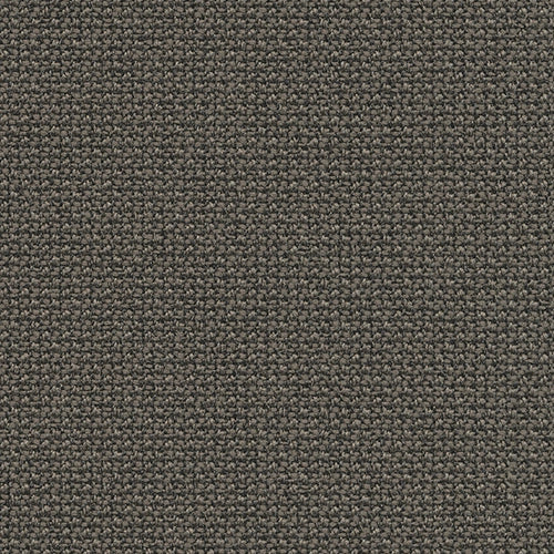 SOVET Xenial Stuhl, Esche schwarz