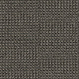 SOVET Xenial Stuhl, Esche schwarz