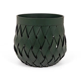 Pinetti, Canaria Korb