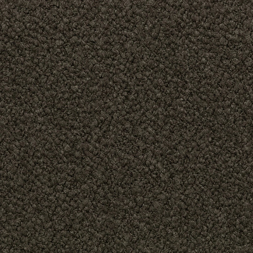 SOVET Xenial Stuhl, Esche schwarz