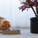 Pinetti, Haustiernapf