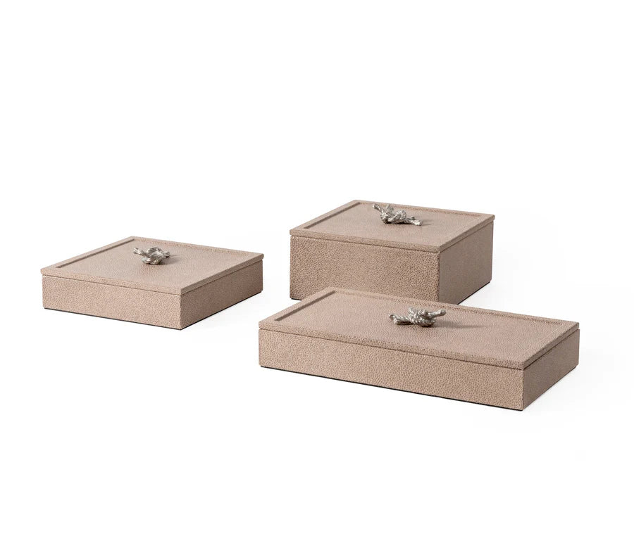 Pinetti, Box Thalia, rechteckig