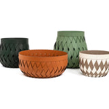 Pinetti, Canaria Korb