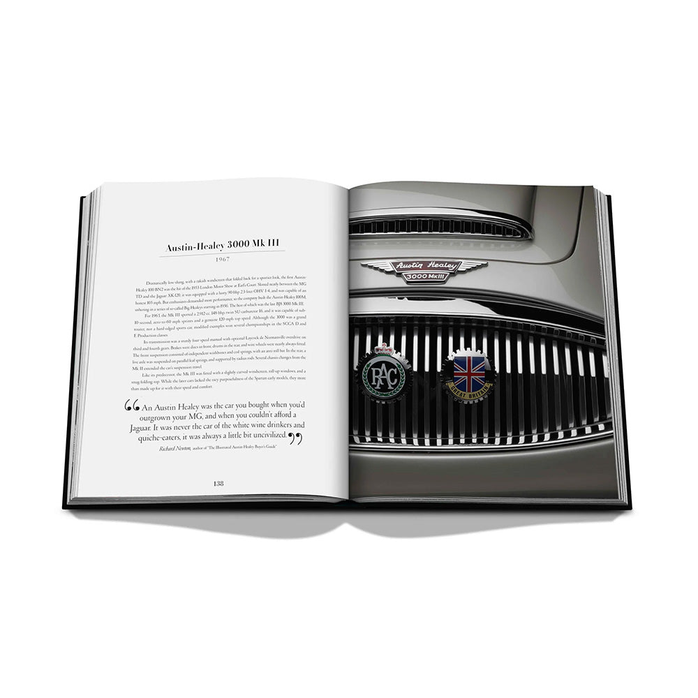 Iconic: Art, Design, Advertising, and the Automobile Blick ins Buch