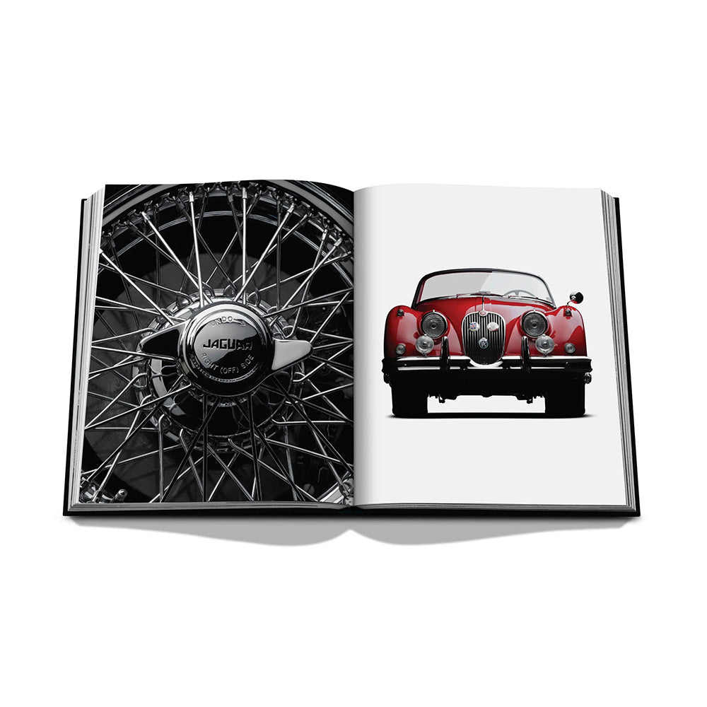 Iconic: Art, Design, Advertising, and the Automobile Bilder vom Buch