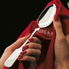 Robbe Berking Silberpflege